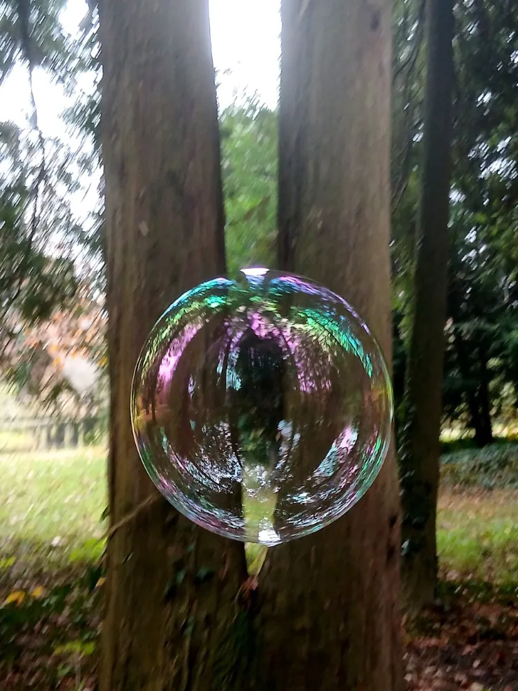 Kunstwerke, Künstler aus der Ausstellung „Parkinson und Pinselstrich“ in Baden (Aargau) – Bilder von Parkinson-Betroffenen