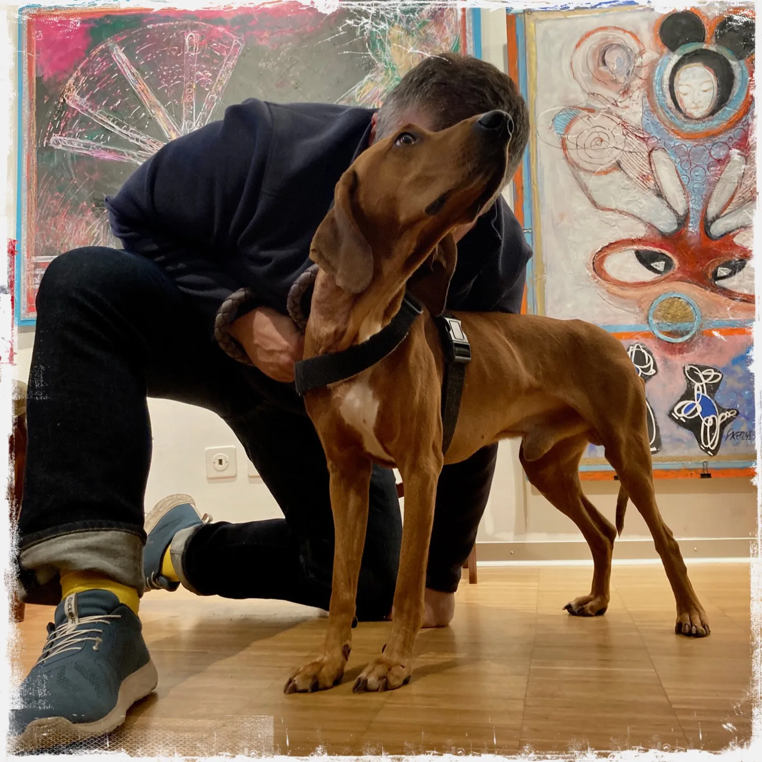 Kunstwerke, Künstler aus der Ausstellung „Parkinson und Pinselstrich“ in Baden (Aargau) – Bilder von Parkinson-Betroffenen