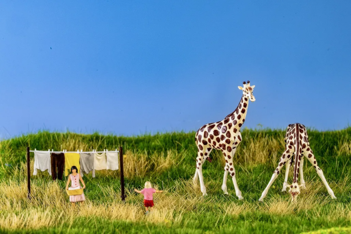 PDArt: Die Fantasie hast du vom Vater. Giraffen…