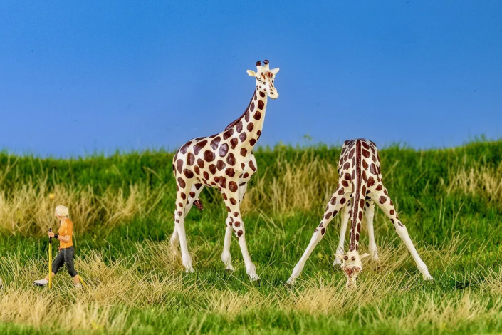PDArt: Giraffen aus dem Zoo entlaufen - die müsste man doch sehen.